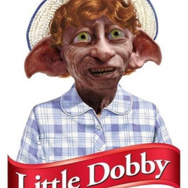 insane dobby