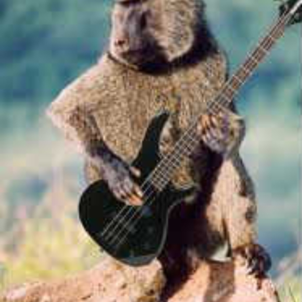 Baboon Bass ( Sound test )