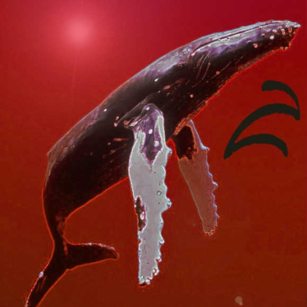 Baby Got Humpback..... (frogman Remix)
