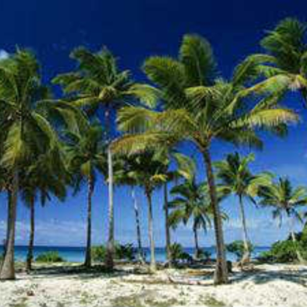 Back2Hawai