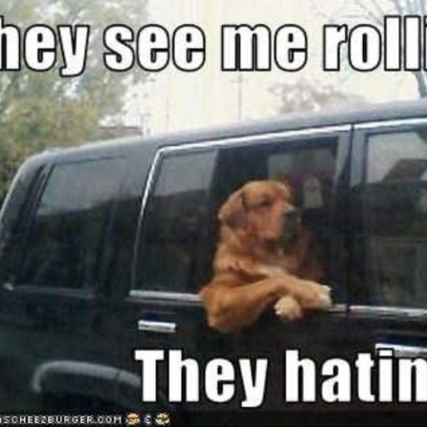 They Hatin"