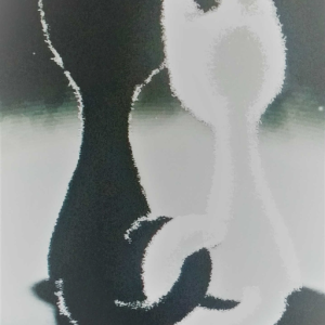 backdor