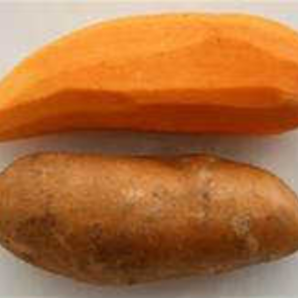 Bad Bitch Flippin The Yams