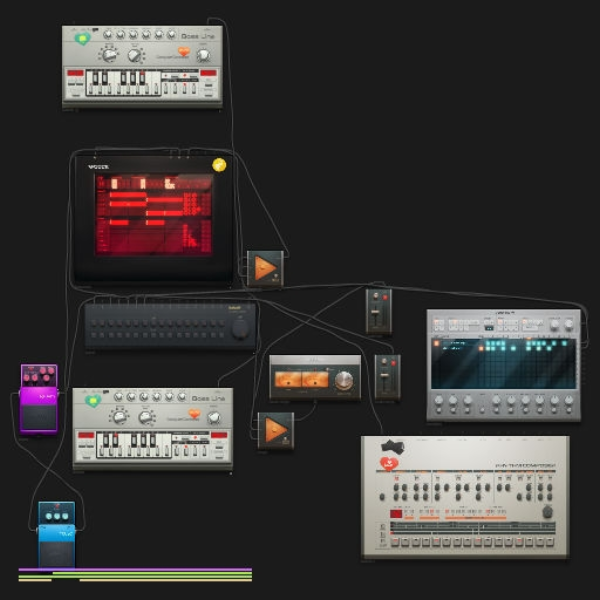 Bass Fixation