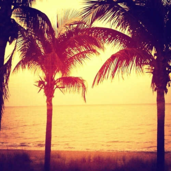 Beachfront
