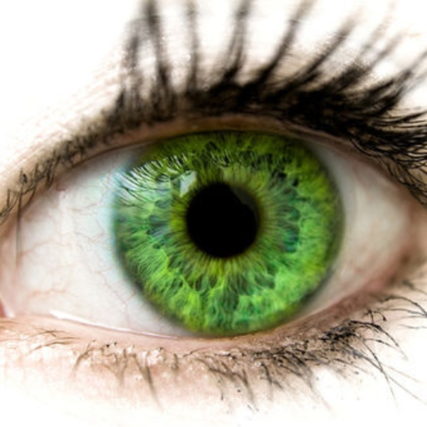 Beautiful Green Eyes