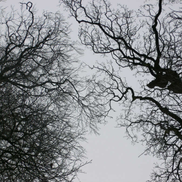 Beneath