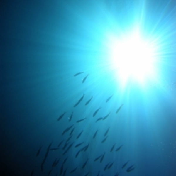 Beneath the Surface