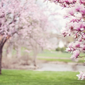Springtime
