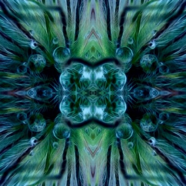 bioloop