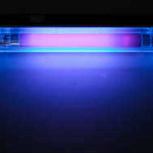 Black light