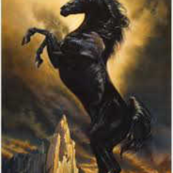 Black Staillion