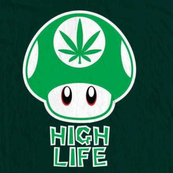BLASTA DUBZ - HIGH LIFE [ WIP ]