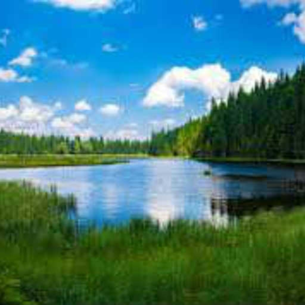 Blessed Water