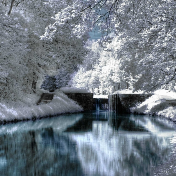 Blizzard Nemo