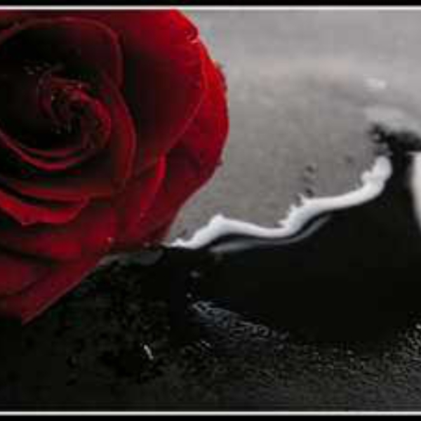 blood