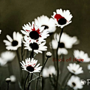Blood of Hope
