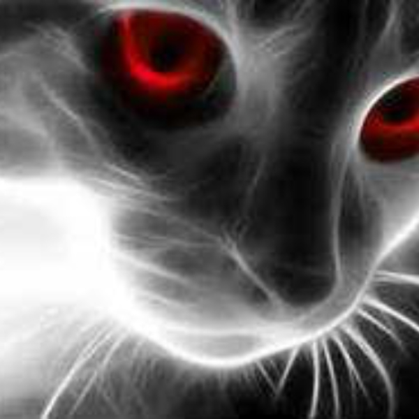 BloodShot Eyes