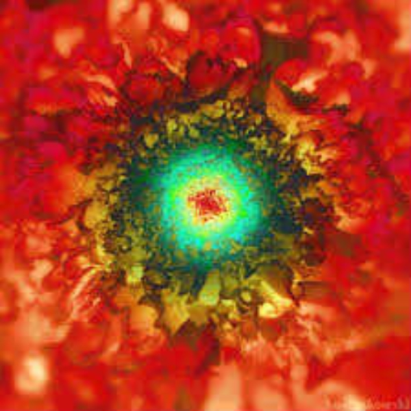 Bloom