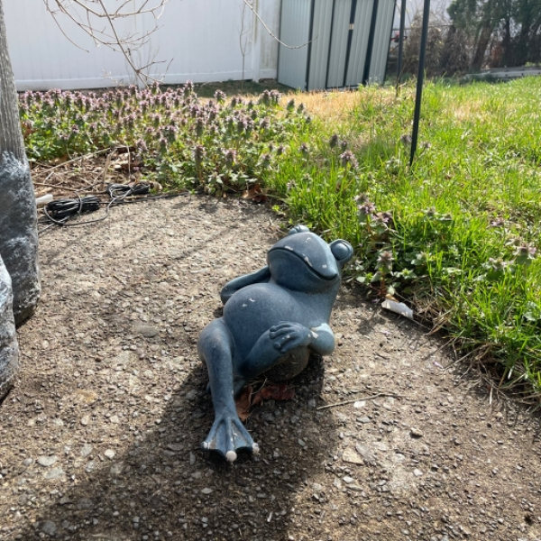 AAA