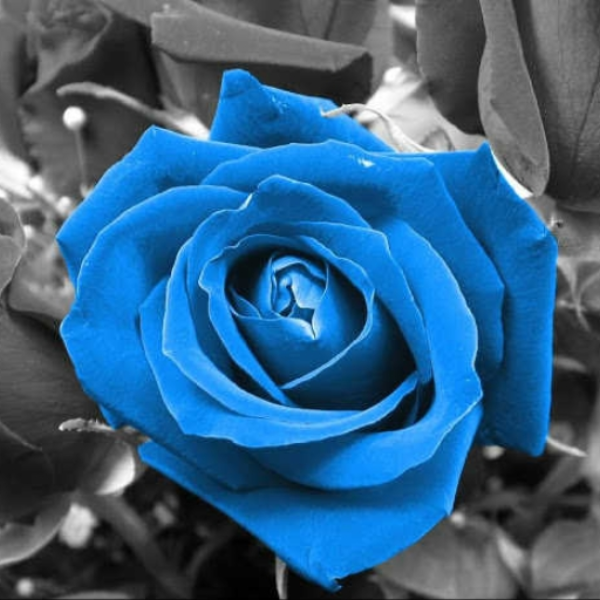 Blue Breaker