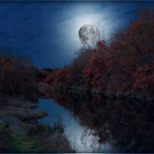 Blue moon - Ft. Insomnia.
