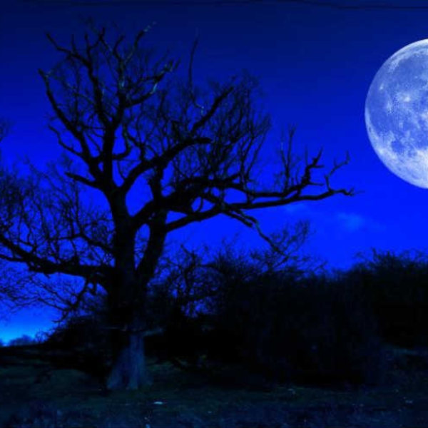 BlueMoon***