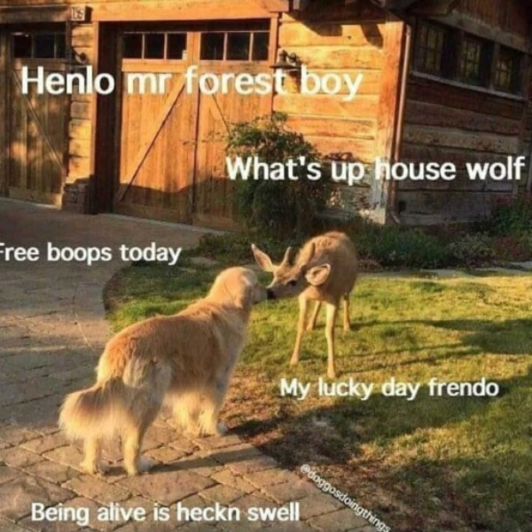boo