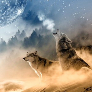 WolfLord