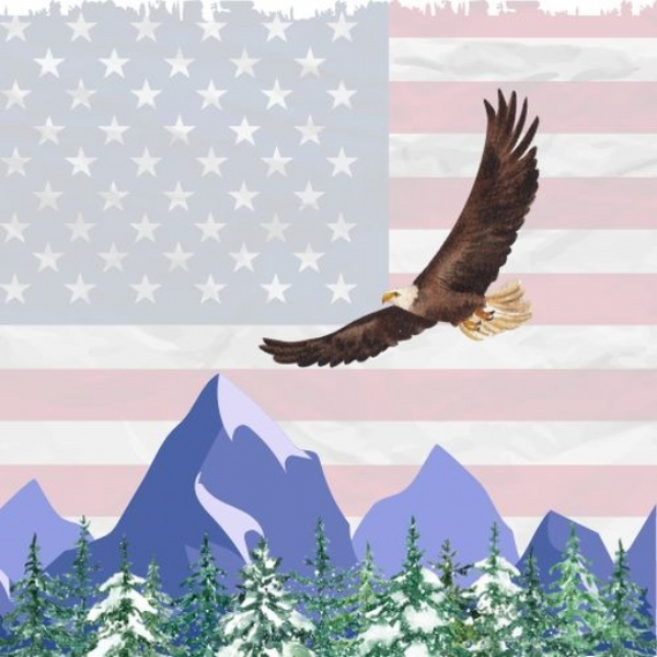 Freedom