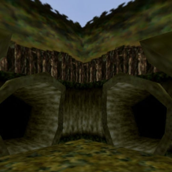 brainforest