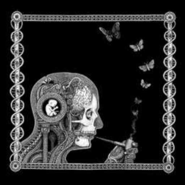 break (DnB) (remix)