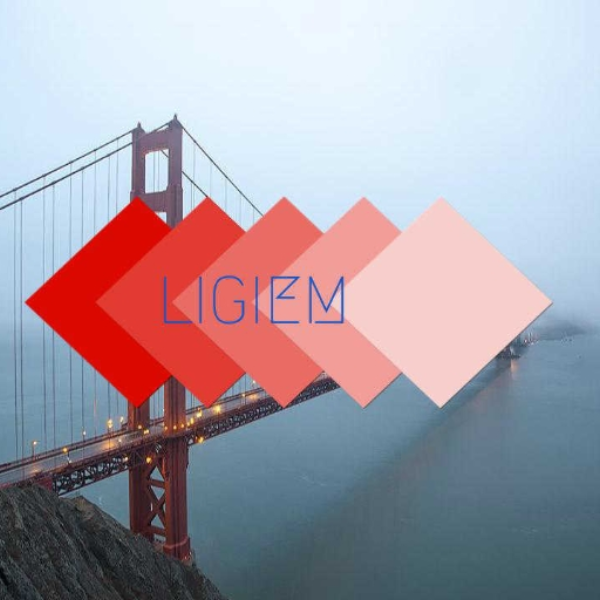 Bring It ( @LIGIEM PREVIEW )