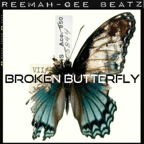 Broken Butterfly