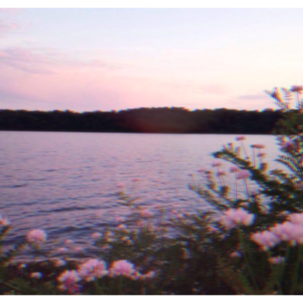 dawn