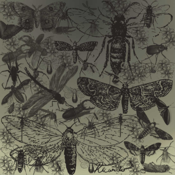 Bug rock