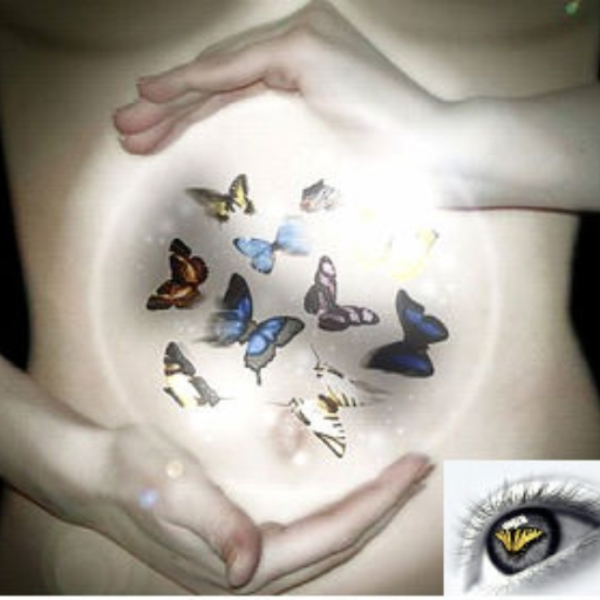 butterfly