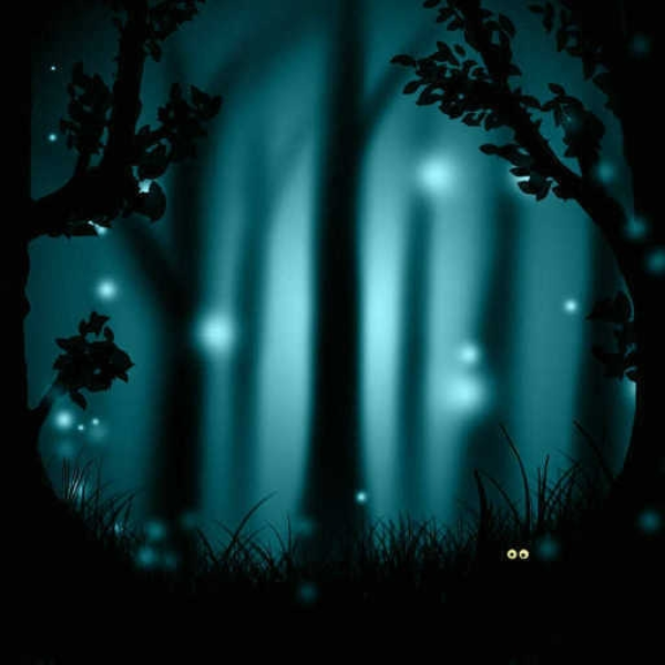 By The Forest
