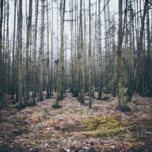 Lost