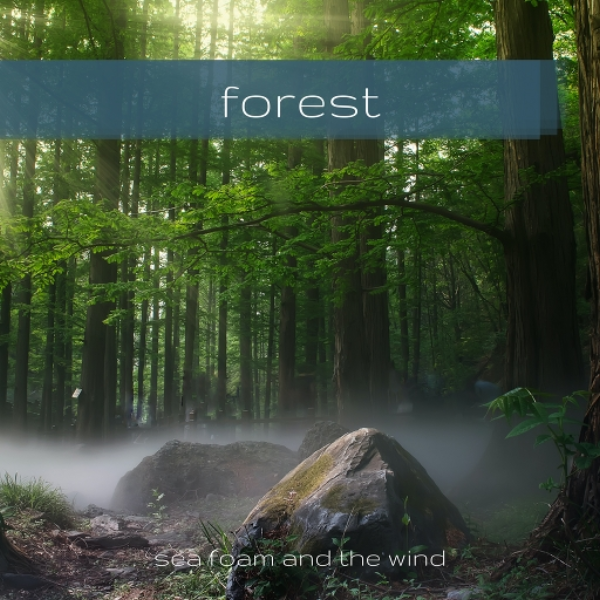 forest (no sample)