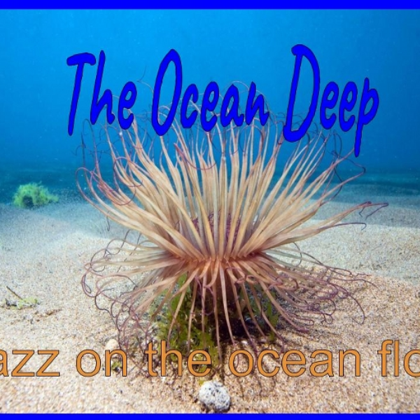 The Ocean Deep