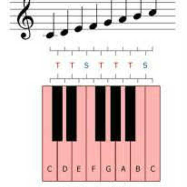 C Scale
