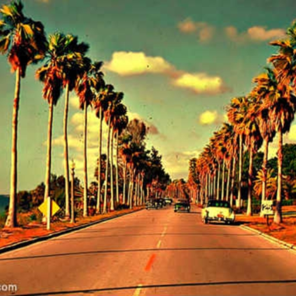 Cali