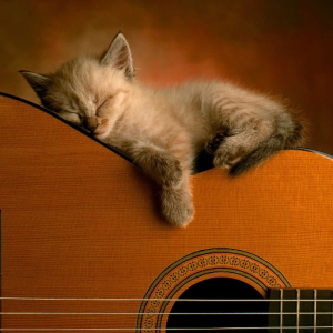 Calm music