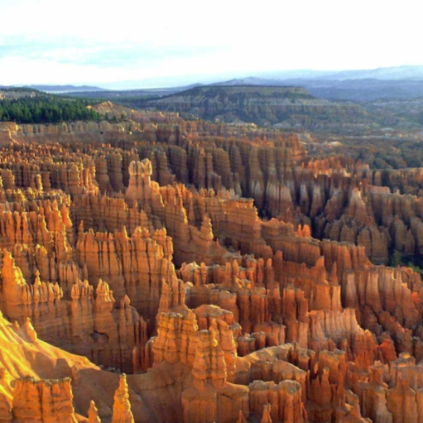 Canyon