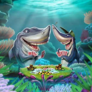 Card Shark