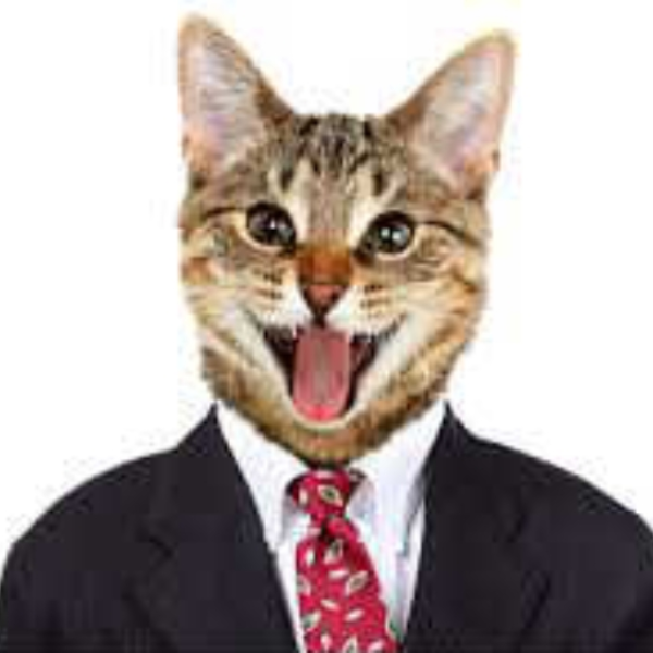 Cat Jam