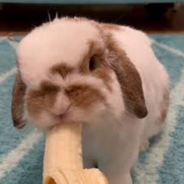 Munch!!