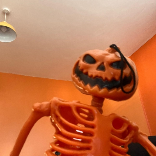 mr pumpkin man
