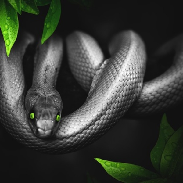 Slimey (Prod. By Xyleek)